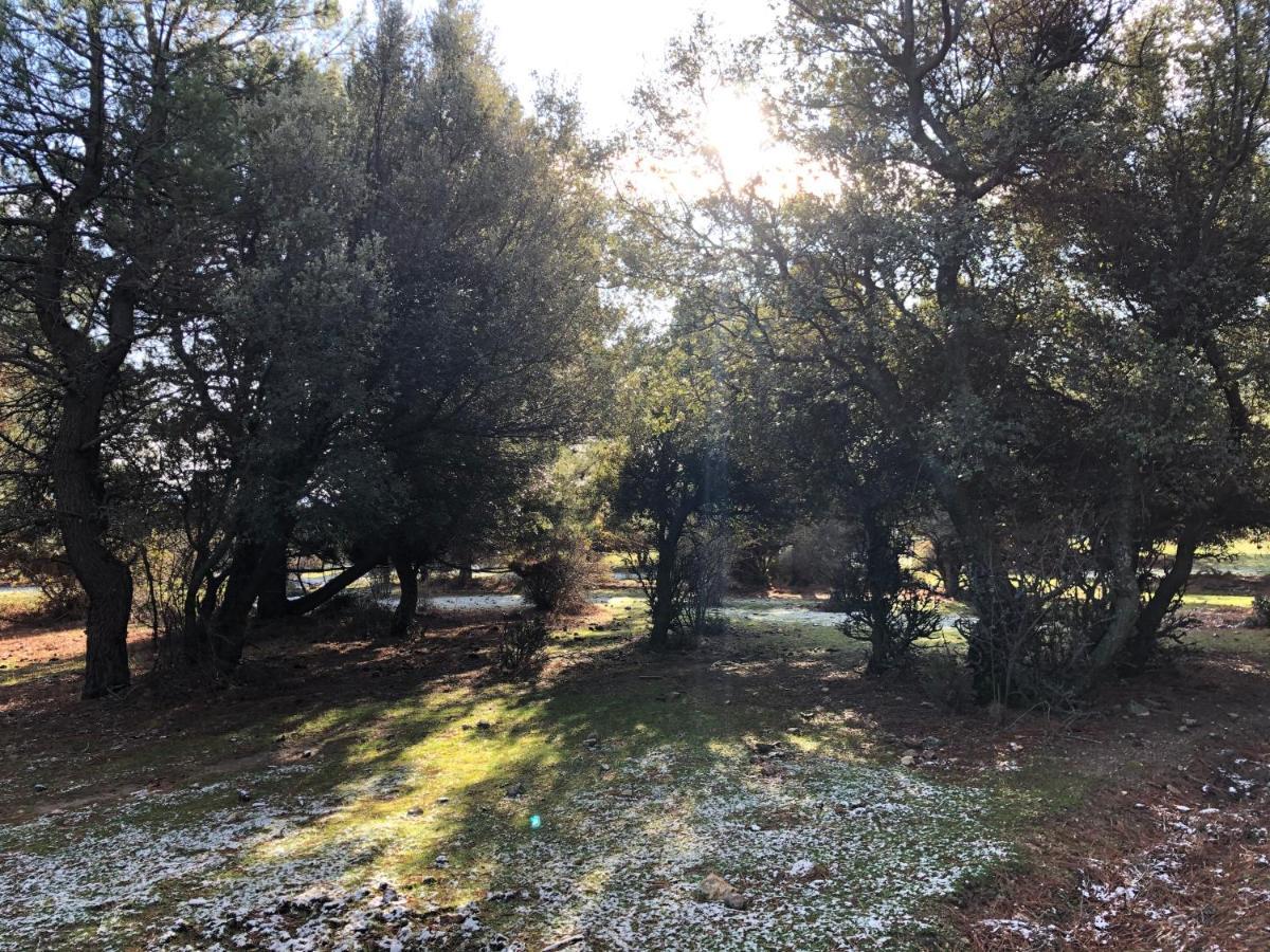 La Olma Apartamentos Guadarrama Εξωτερικό φωτογραφία